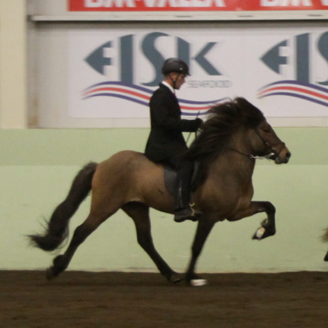 sthestav.__saurkr._20011_018