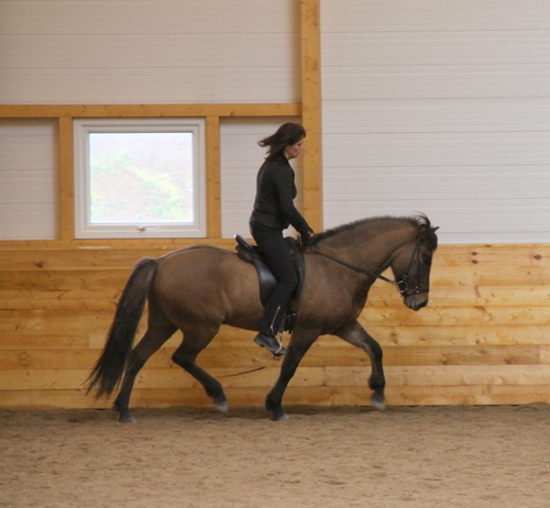 kaldalns_sept09_2 kaldalns_sept09_2