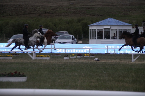 landsmt11_538 landsmt11_538