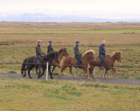 frumtamningar_04_10_11_016