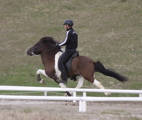 lffinnur_hella11_110611_041-1 lffinnur_hella11_110611_041-1