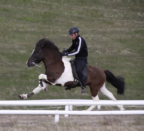 lffinnur_hella11_110611_041-1_2 lffinnur_hella11_110611_041-1_2