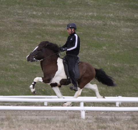 lffinnur_hella11_110611_041-1_27 lffinnur_hella11_110611_041-1_27