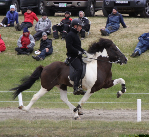 lffinnur_lm11_035-1 lffinnur_lm11_035-1