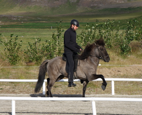 siss.mif.10_025 siss.mif.10_025