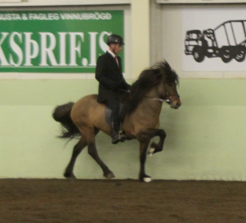 sthestav.__saurkr._20011_011