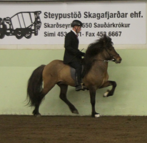 sthestav.__saurkr._20011_013